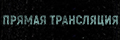 Прямая трансляция