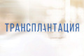 Трансплантация